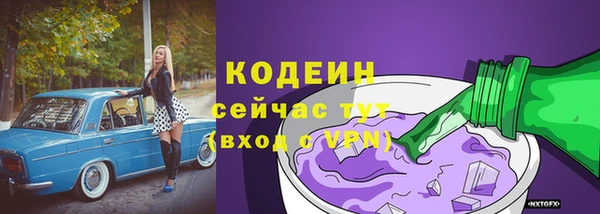 индика Покачи