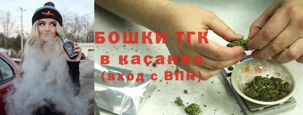индика Абаза