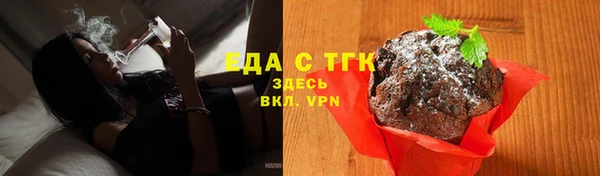 индика Абаза