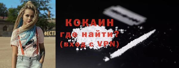 индика Абаза