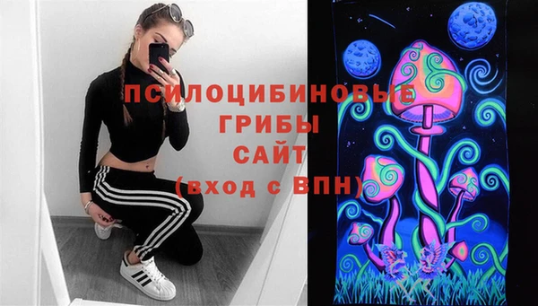 прущие грибы Абдулино