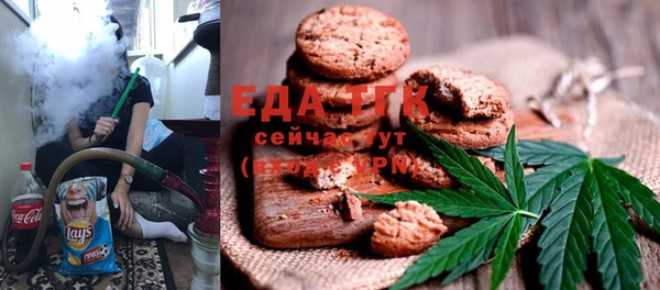 индика Покачи