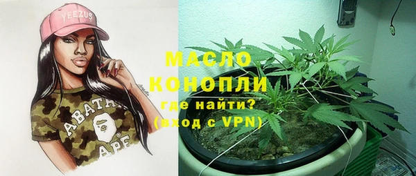 индика Абаза