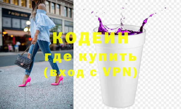 индика Абаза
