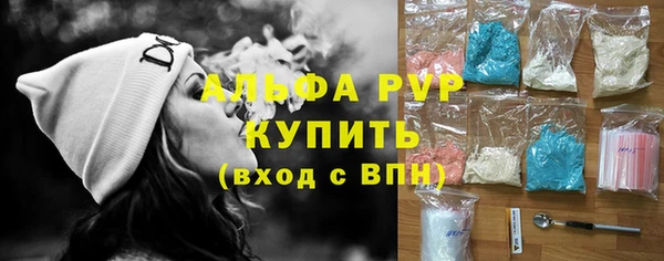индика Абаза