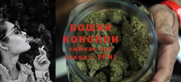 индика Покачи