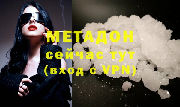 индика Абаза