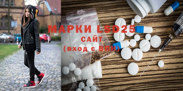 индика Абаза